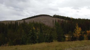 Logging across Canada in different seasons