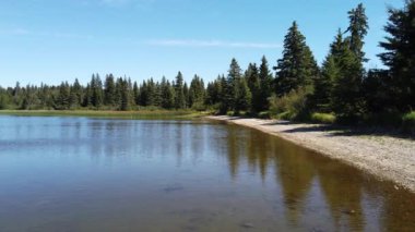 Boreal scene in Canada