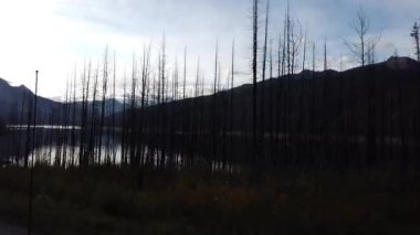 Jasper Alberta in the fall