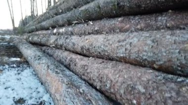 Logging in various areas in Canada