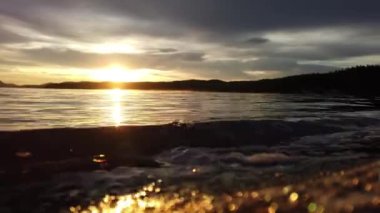 Boreal forest scenes in Canada