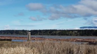 The Fraser River in BC