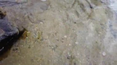 Jasper Alberta in the autumn