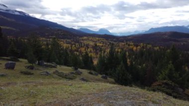 Jasper Alberta in the fall