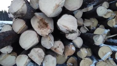 Logging in various areas in Canada