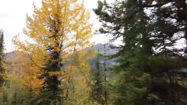 Jasper Alberta Autumn — Vídeo de stock