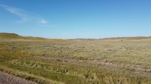 Grasslands Canadian Prairies — Stockvideo