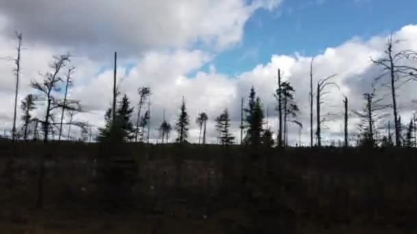 Northern Ontario Late Summer — Vídeo de Stock