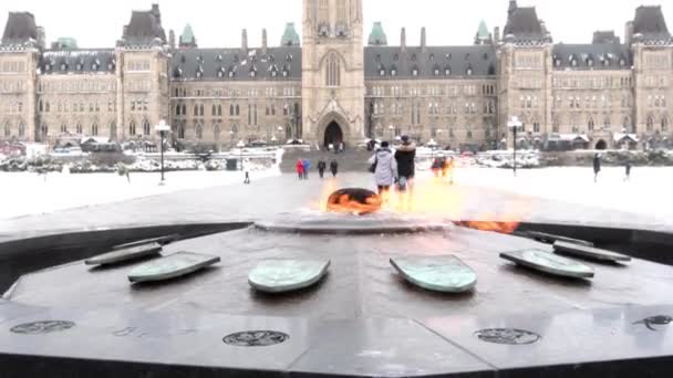 Ottawa Canada Winter — Stock videók