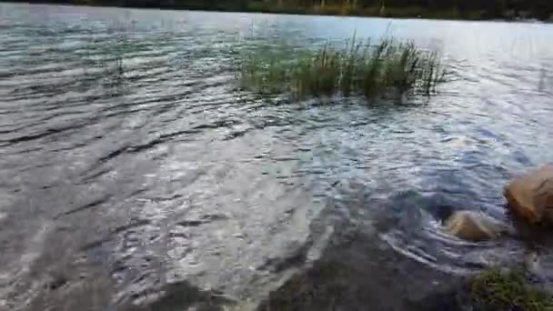 Jasper Alberta Autumn — Video Stock