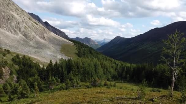 Kananaskis Country Summer — Stok video