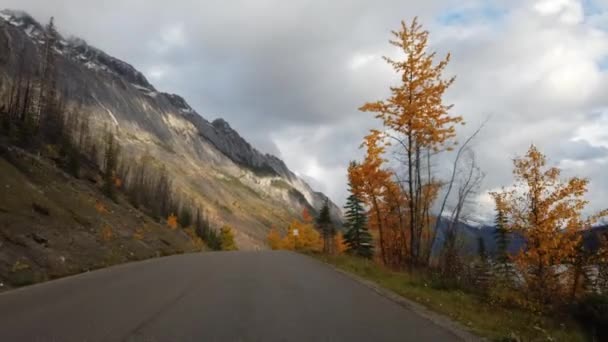 Jasper Alberta Canada Autumn — Stock video