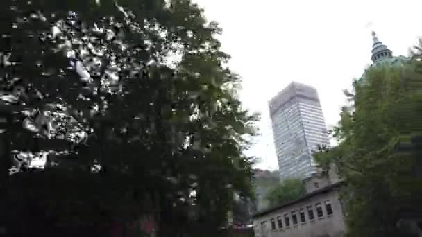 Montreal Quebec Canada Summer — Wideo stockowe