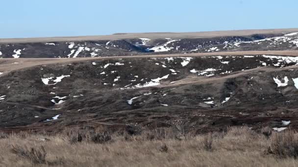 Canadian Prairies Winter — Stock Video