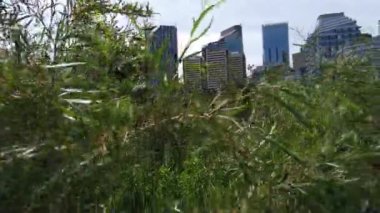 Calgary Alberta Canada in the summer