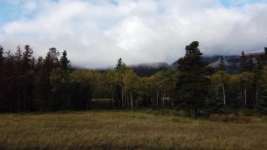 Jasper Alberta in the fall