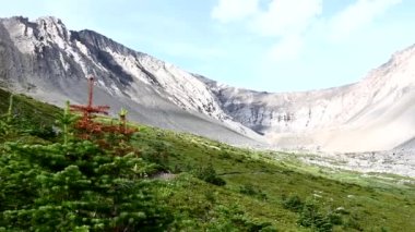 Yazın Kanada Kayalıkları