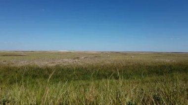 Grasslands in the Canadian Prairies