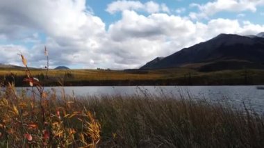 Jasper Alberta in the late fall