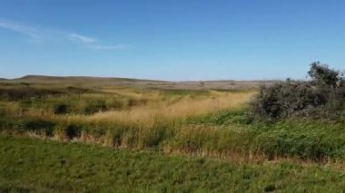 Grasslands in the Canadian Prairies