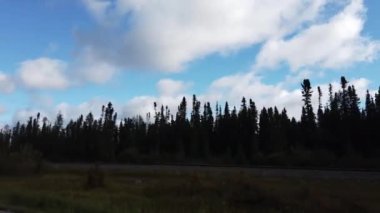Northern Ontario in the late summer
