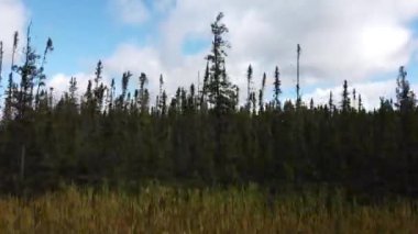 Northern Ontario in the late summer