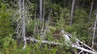 Banff Albert Canada scenes