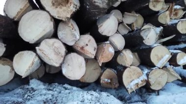 Logging in various areas in Canada