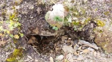 Jasper Alberta Canada in the late fall