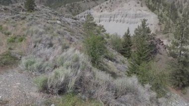 The Fraser River in BC