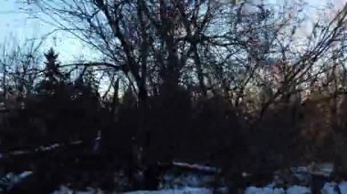 Edmonton in the late summer