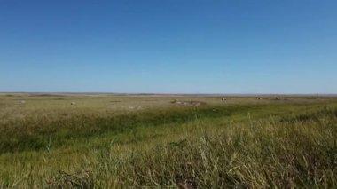 Grasslands in the Canadian Prairies