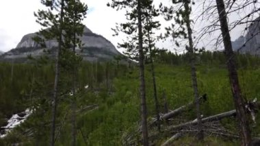 Banff Albert Canada scenes