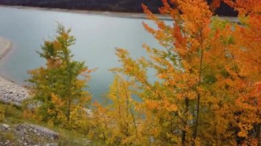 Jasper Alberta in the autumn