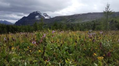 Banff Alberta Canada scenes
