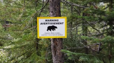 Banff Alberta Canada in the summer