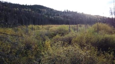 Jasper Alberta in the autumn