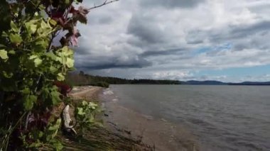 Northern Ontario in the late summer