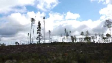 Northern Ontario in the late summer