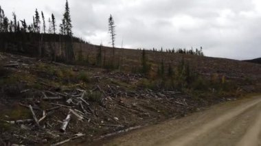 Logging in various areas in Canada
