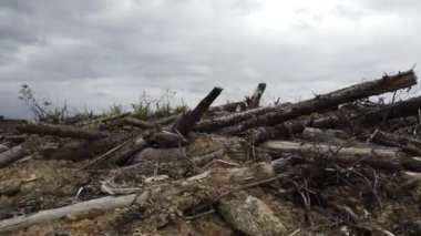 Logging in various areas in Canada