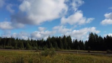 Northern Ontario in the late summer