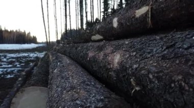 Logging in various areas in Canada