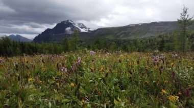 Banff Alberta Canada scenes