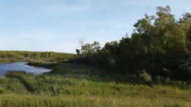 Boreal forest scenes in Canada