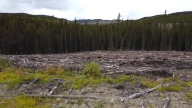 Logging in various areas in Canada