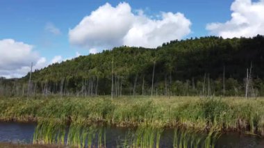 Northern Ontario in the late summer