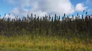 Northern Ontario in the late summer