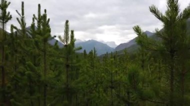 Banff Albert Canada scenes