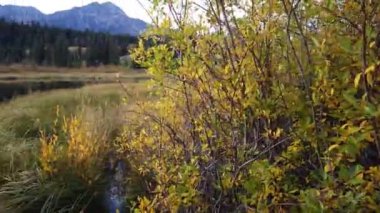 Jasper Alberta in the autumn